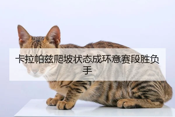 卡拉帕兹爬坡状态成环意赛段胜负手