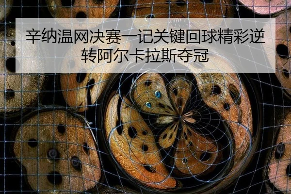 辛纳温网决赛一记关键回球精彩逆转阿尔卡拉斯夺冠