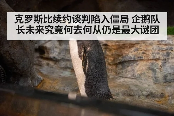 克罗斯比续约谈判陷入僵局 企鹅队长未来究竟何去何从仍是最大谜团